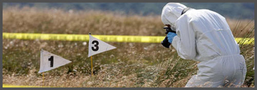 become a crime scene investigator